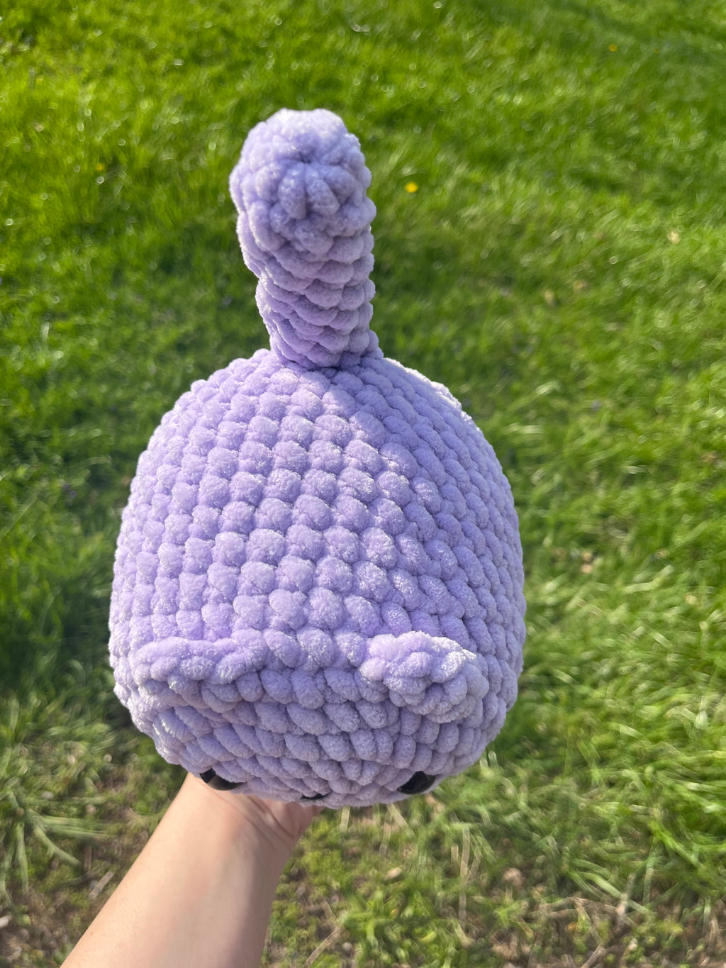Purple Loaf cat
