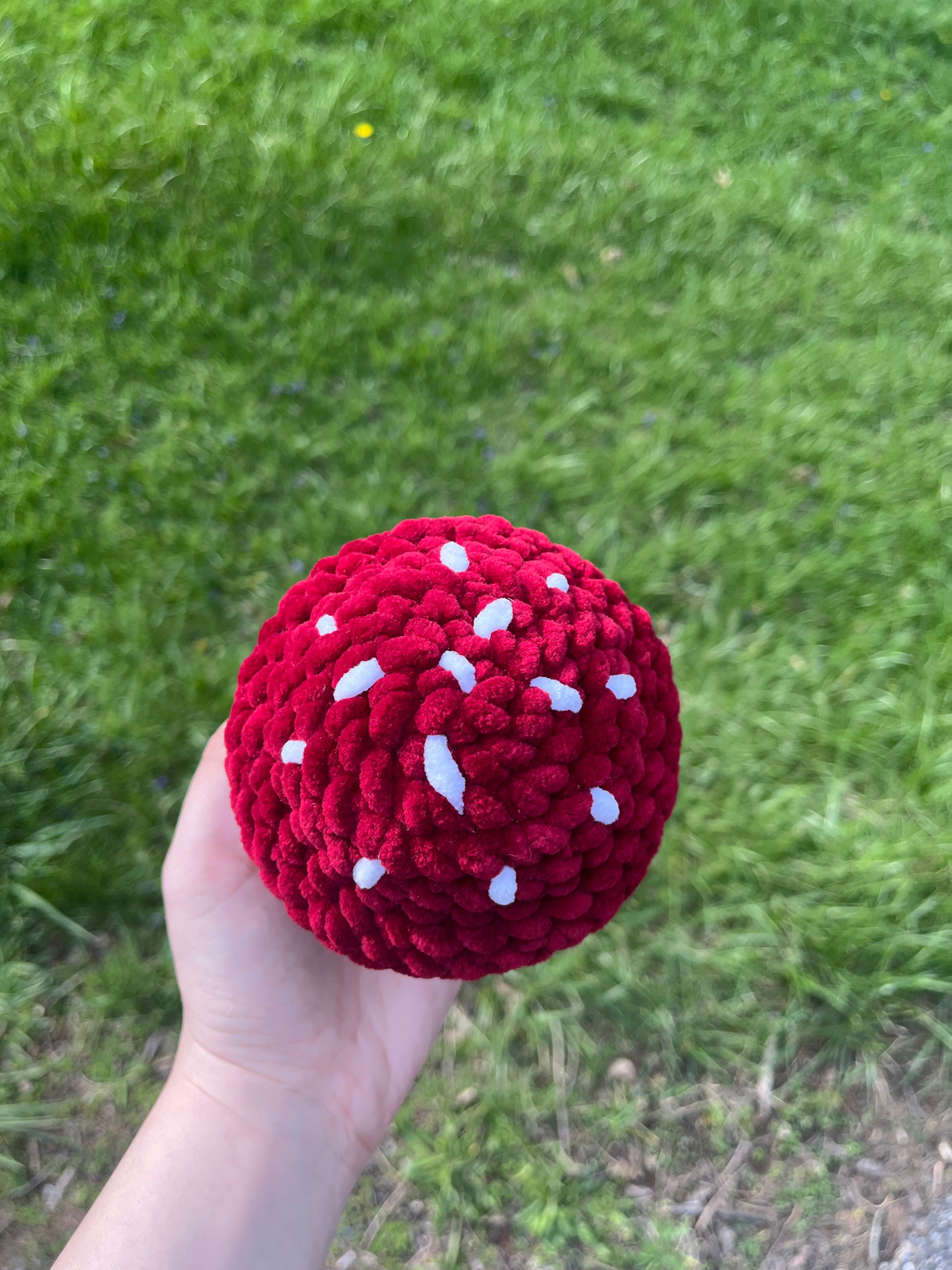 Crochet Mushy Boy