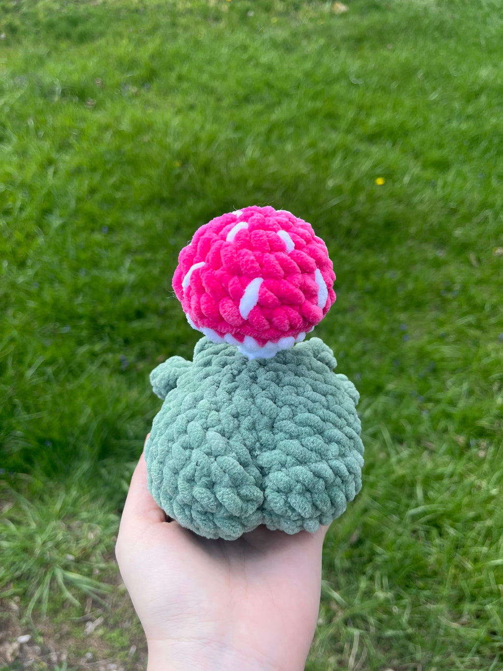 Mushroom frog with buttcheeks