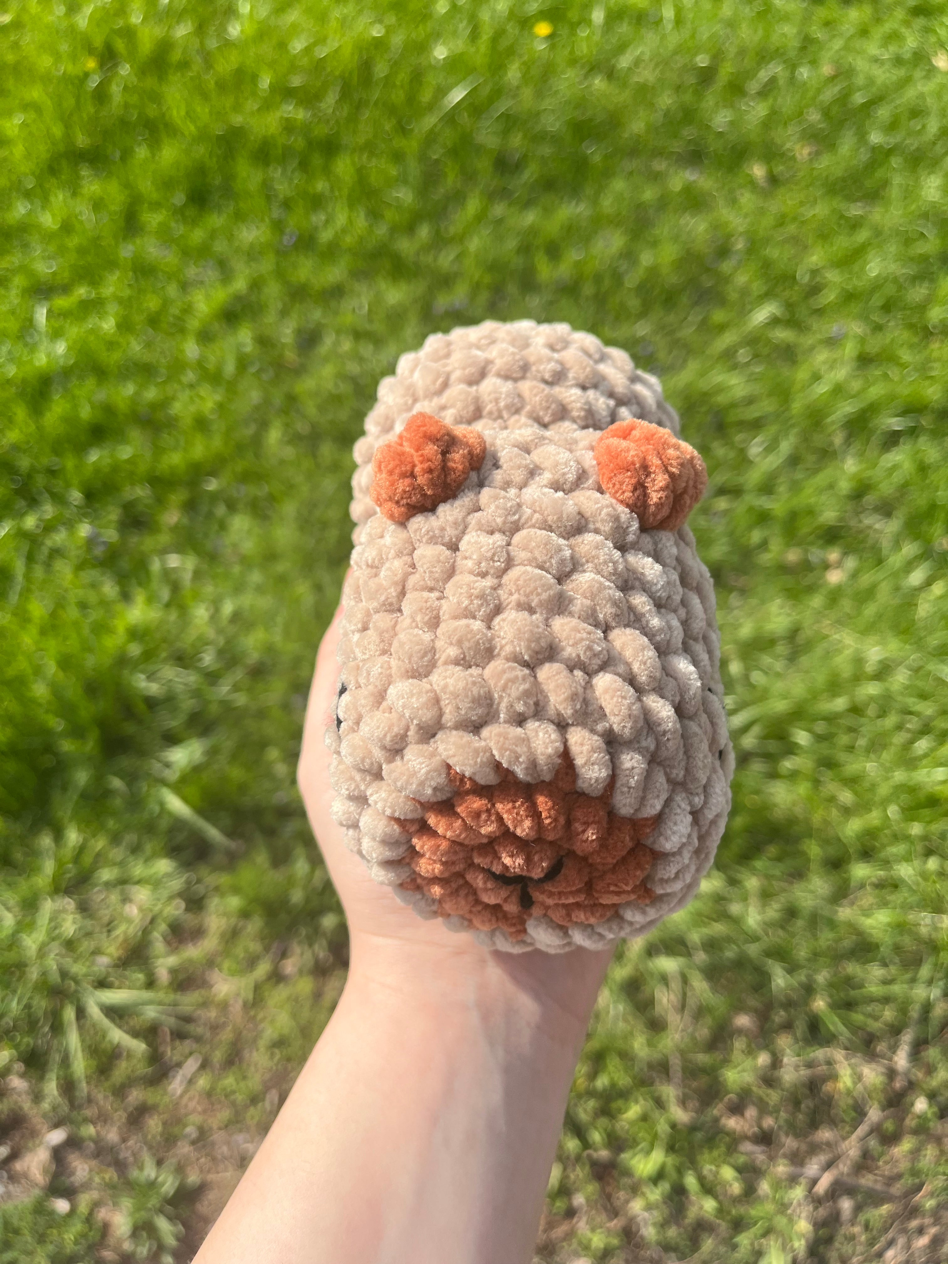 Crochet Capybara