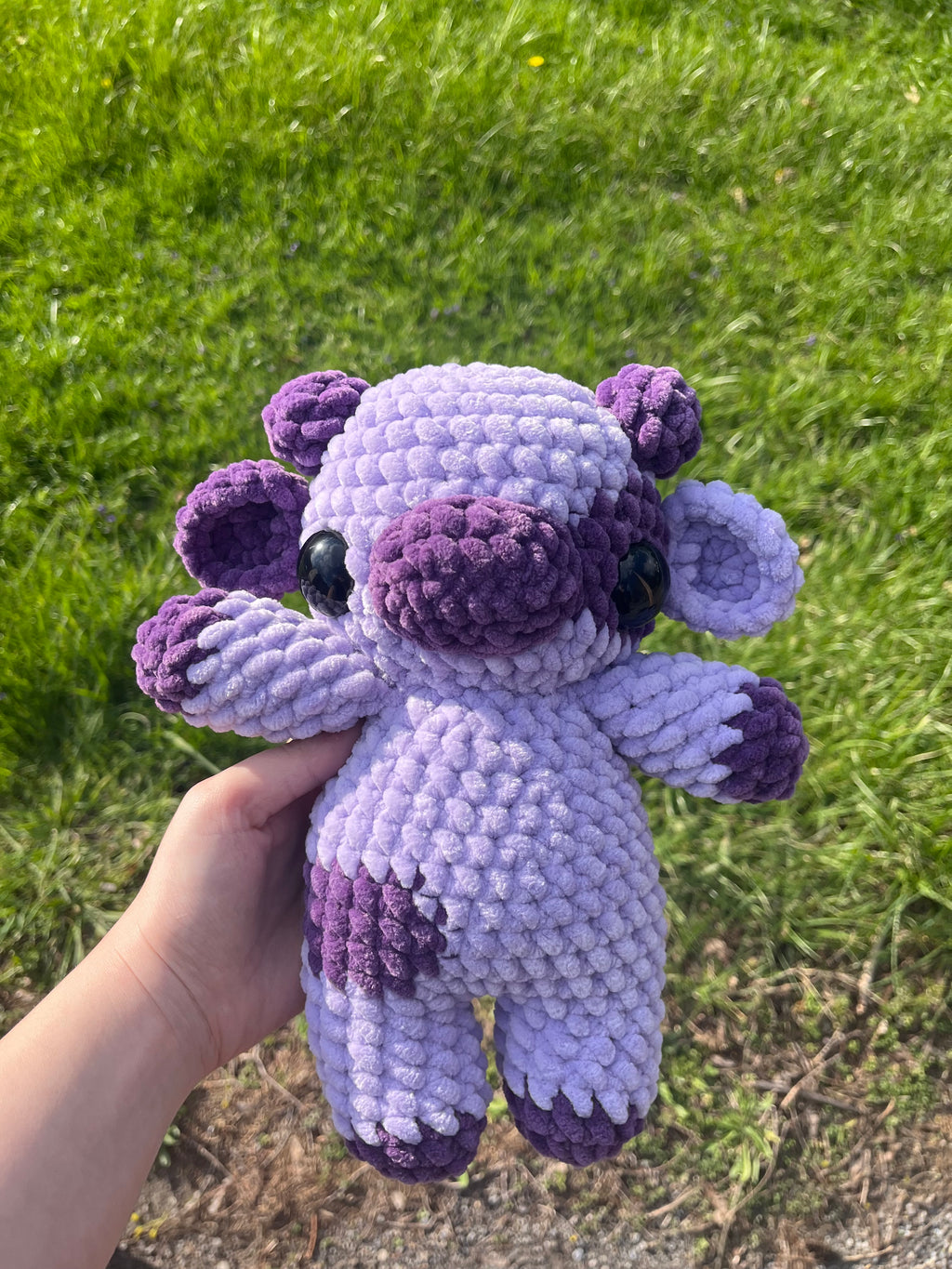 Purple cow