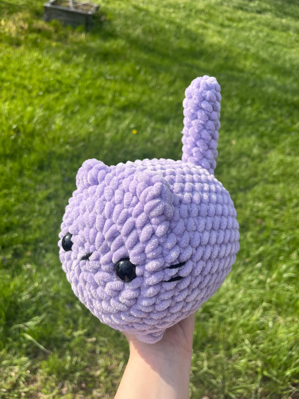 Purple Loaf cat