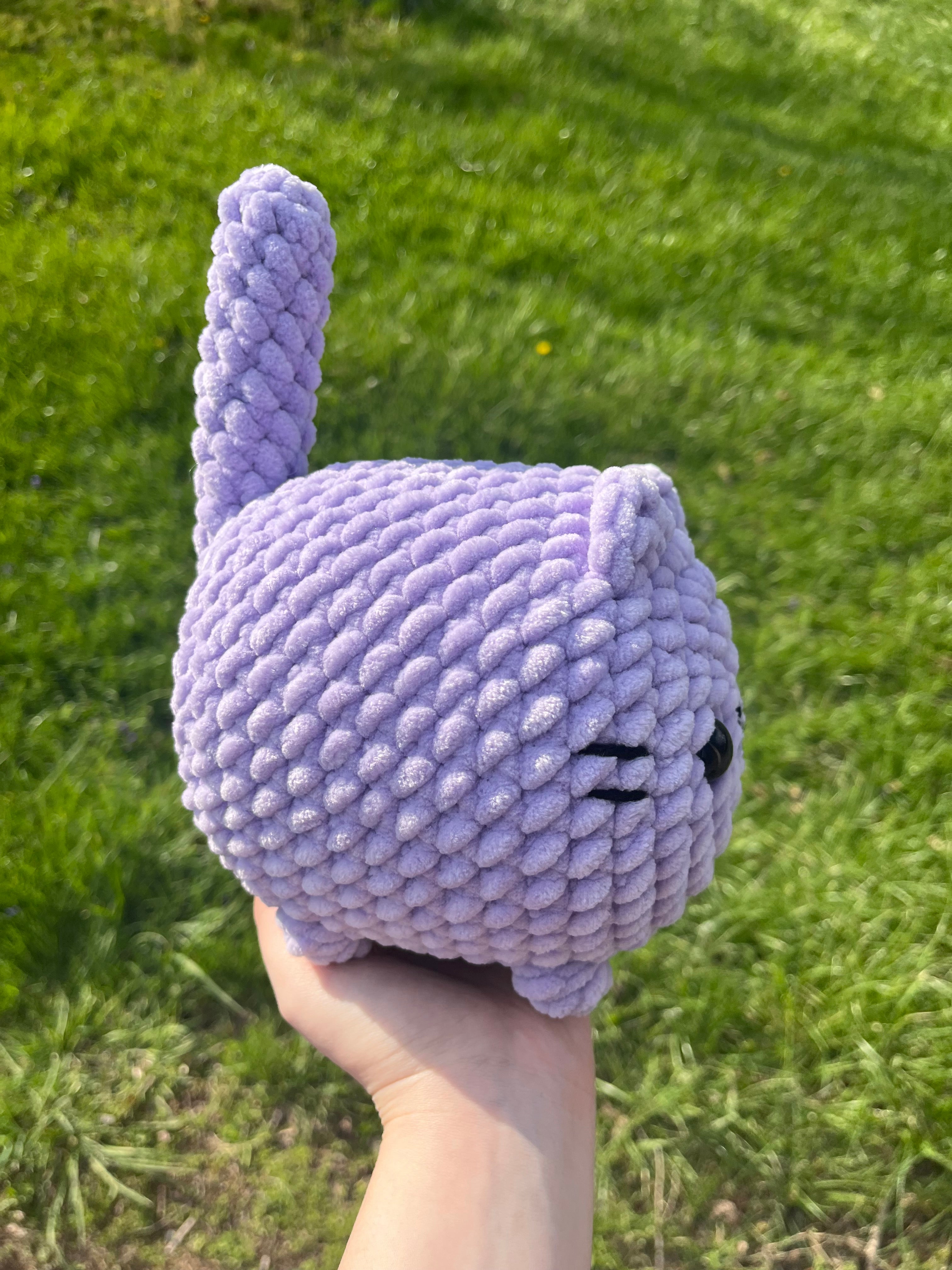 Purple Loaf cat