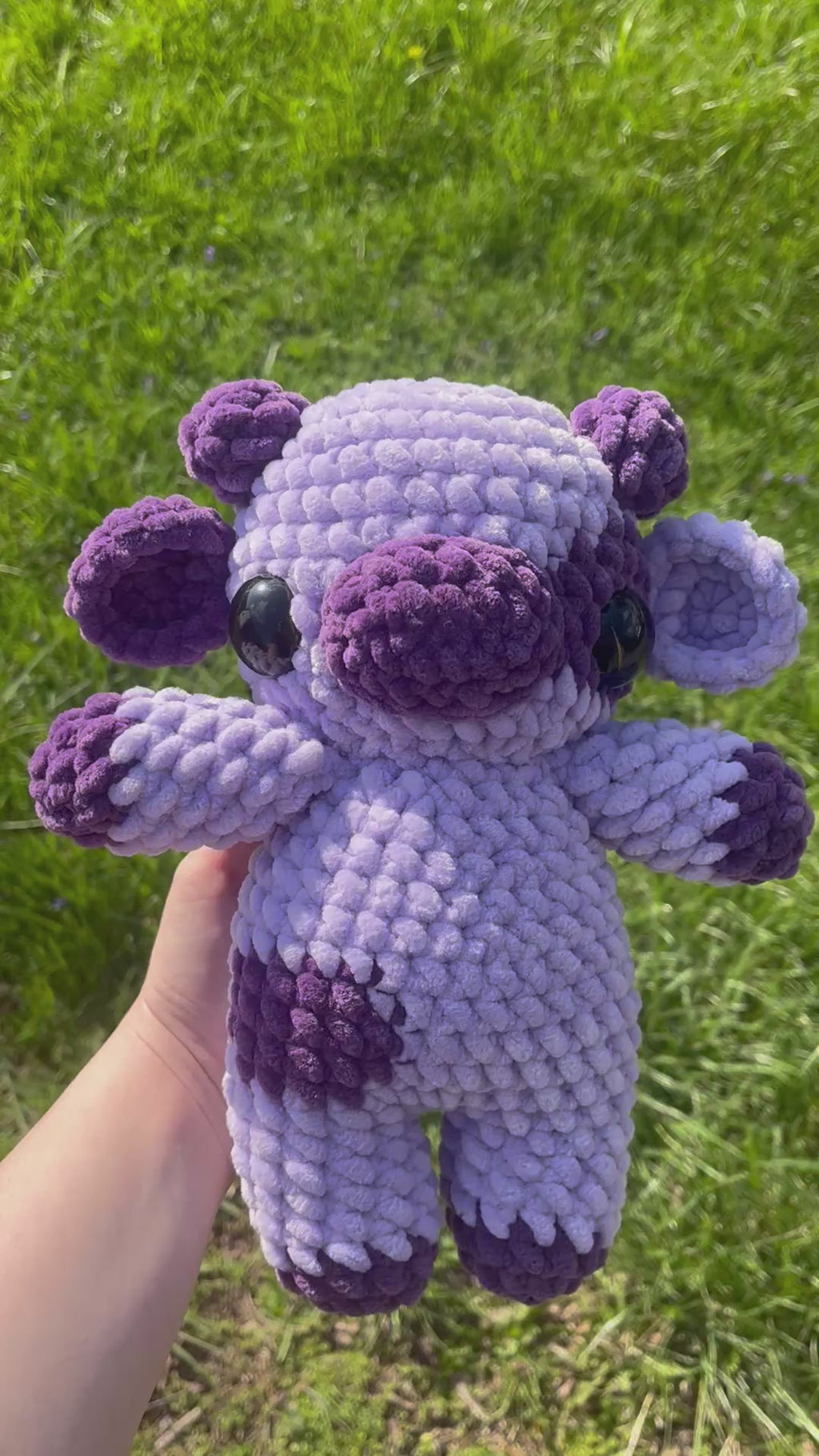 Purple cow